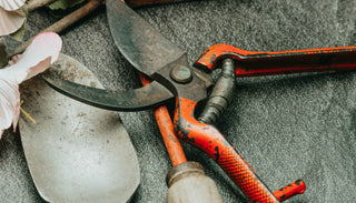 A close-up of gardening tools, including a trowel, pruning shears, and a hand hoe, arranged on a dark surface. The tools show signs of use, with dirt and wear visible on their surfaces. Pink flowers and green leaves partially frame the tools, adding a touch of natural beauty to the practical gardening scene.