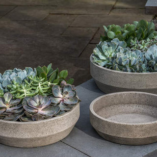 A trio of round concrete planters filled with various types of succulents, including Echeveria and other fleshy-leaved plants. The planters are set on a patio with a stone tile surface, showcasing a modern and minimalist gardening aesthetic. One planter is empty, emphasizing the focus on the planted succulents.