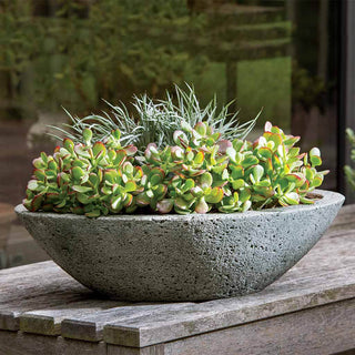 A large, shallow concrete planter filled with a variety of succulents, including Jade plant and other fleshy-leaved species. The planter is placed on a wooden bench outdoors, with a reflective glass surface and greenery in the background. The scene highlights the minimalist and natural beauty of the succulent arrangement in a modern container.