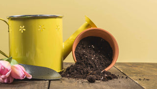a yellow watering can, a small terracotta pot filled with dark soil spilling out, a gardening trowel, and a small bunch of pink tulips. The items are arranged on a wooden surface against a neutral beige background, creating a calm and inviting gardening scene.