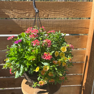 A vibrant hanging basket filled with lush green foliage and a variety of colorful flowers, including shades of pink, purple, and yellow. The arrangement is set against a wooden background.
