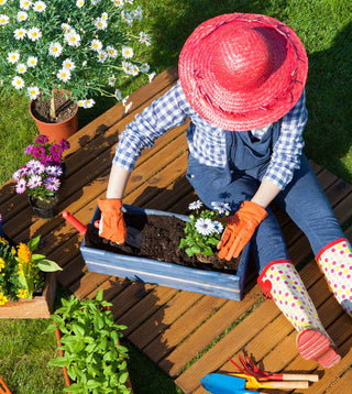 An overhead view of a gardener sitting on a wooden deck, planting flowers in a rectangular blue planter. The gardener, dressed in a red hat, blue plaid shirt, denim overalls, orange gloves, and polka-dotted rain boots, is surrounded by various potted plants and gardening tools. The bright and colorful scene reflects a lively gardening activity in a sunlit garden.