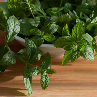 A white bowl filled with fresh green mint leaves, placed on a wooden surface.