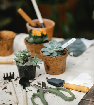 A workspace with various gardening tools and potted succulents, arranged neatly on a table.